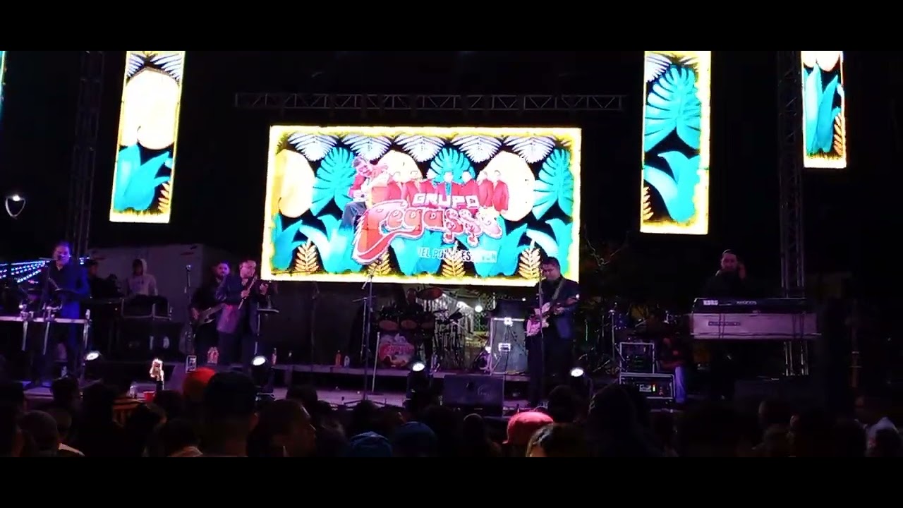 MIREYA  🎹🎹  PEGASSO del Pollo🐥                           Autor: Reynaldo Flores