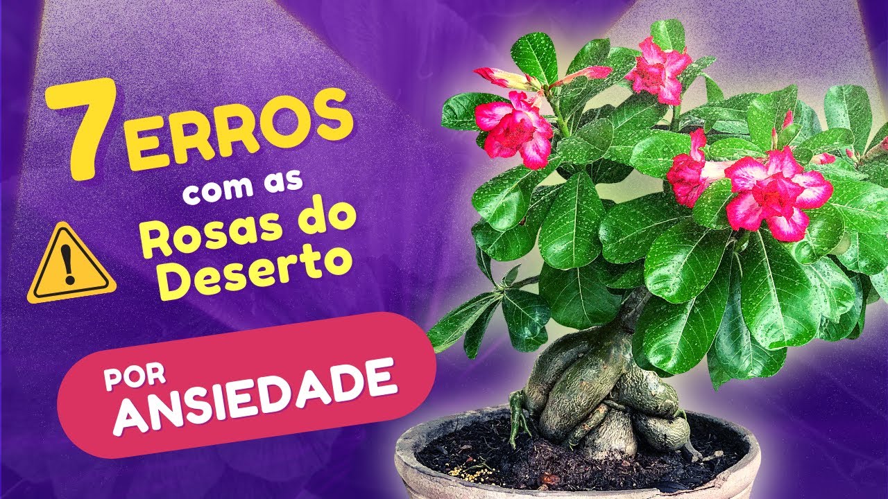 Os 7 ERROS que as PESSOAS cometem com as ROSAS DO DESERTO por ANSIEDADE!!