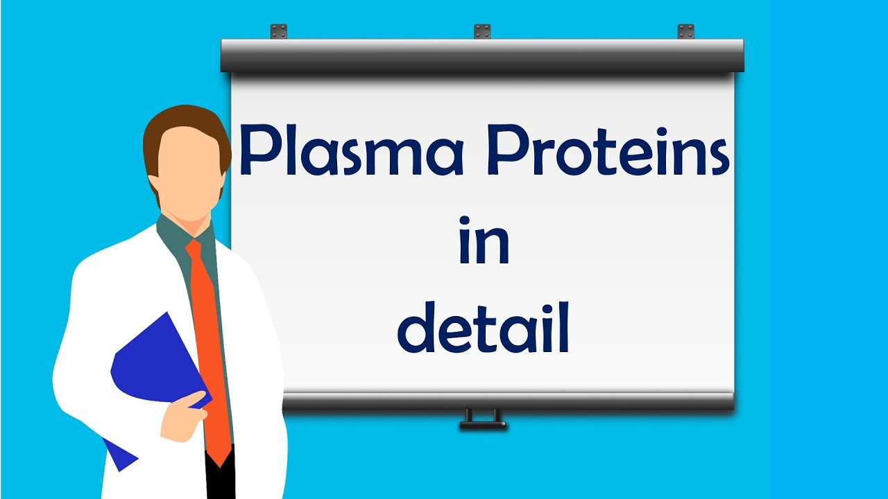 Hemopoietic system - Plasma Proteins - By Dr.  Ganesh M. Adelkar