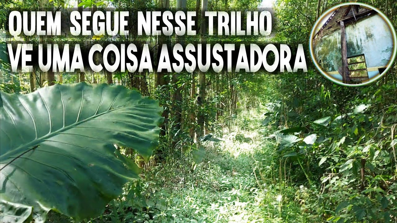 O FANTASMA DO VELHO APARECE NA JANELA DA CASA ABANDONADA!!!