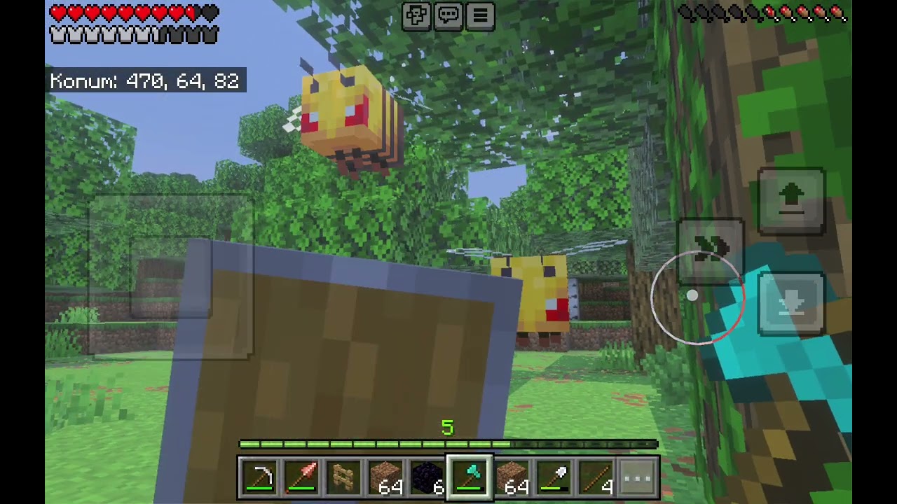 Minecraft hayatta kalma 1.gün
