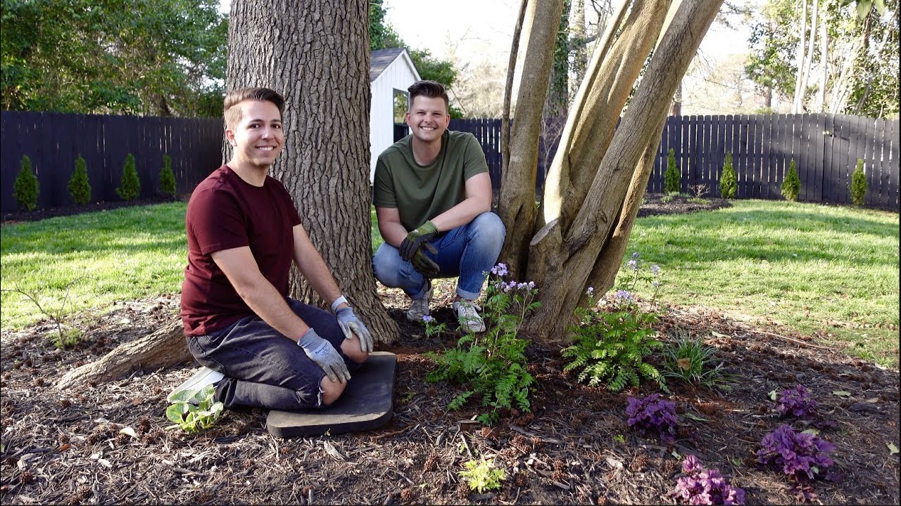 Planting Heaven Scent Jacob's Ladder | Gardener in Love