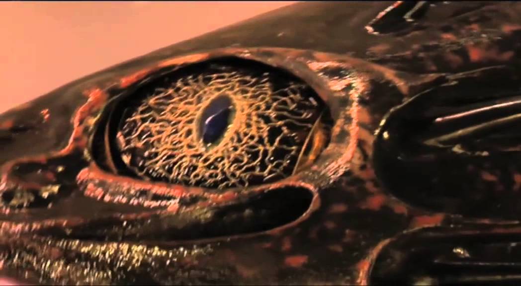 Dr John C Taylor - Life and passions