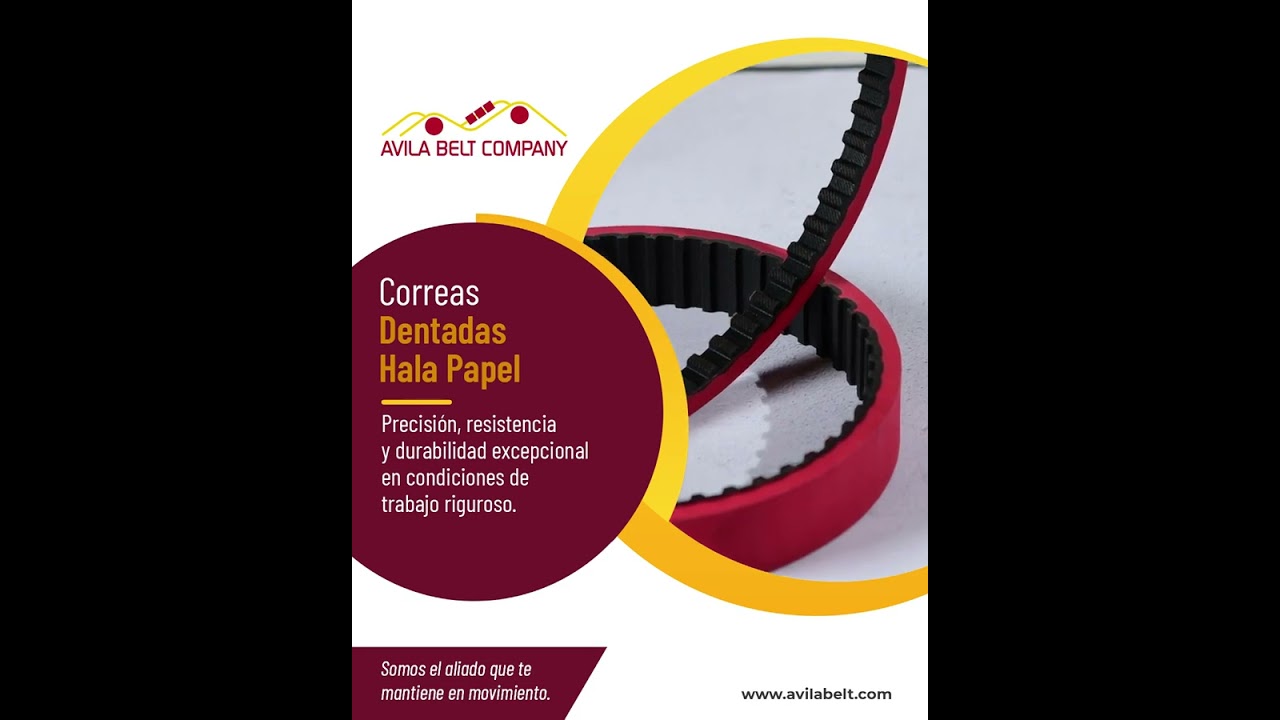Avila Belt - Correas de Papel Dentadas