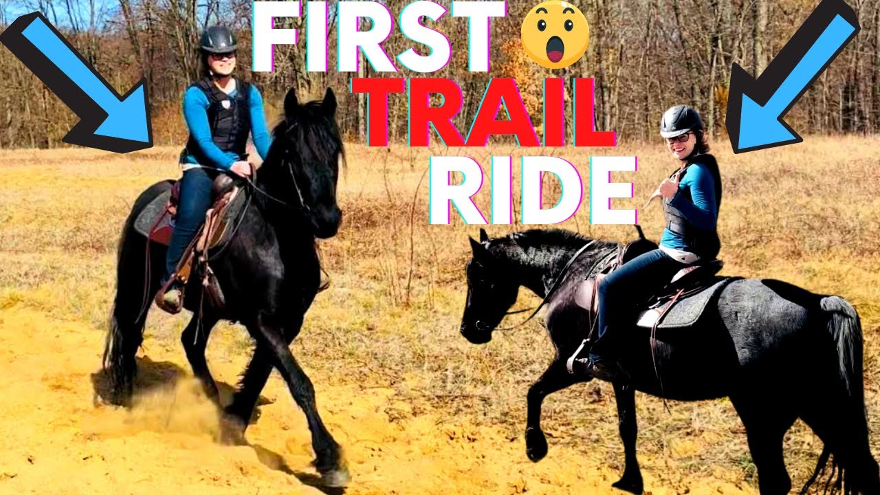 INTRODUCING A GREEN HORSE TO THE TRAIL