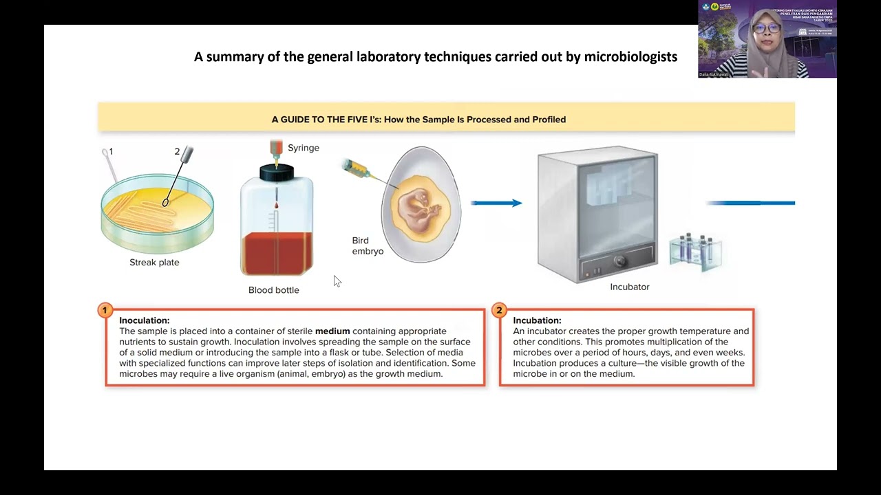 PENDAHULUAN PRAKTIKUM MIKROORGANISME PART 1