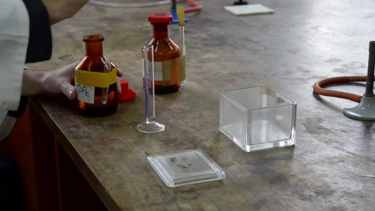 Thin Layer Chromatography (TLC)