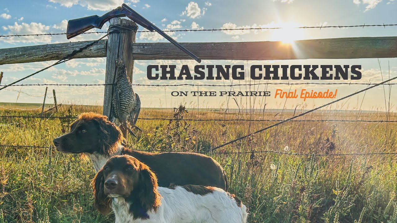 Going After PRAIRIE CHICKENS! Extreme Heat, Severe Storms, Shooting Slump & Scouting Tactics!
