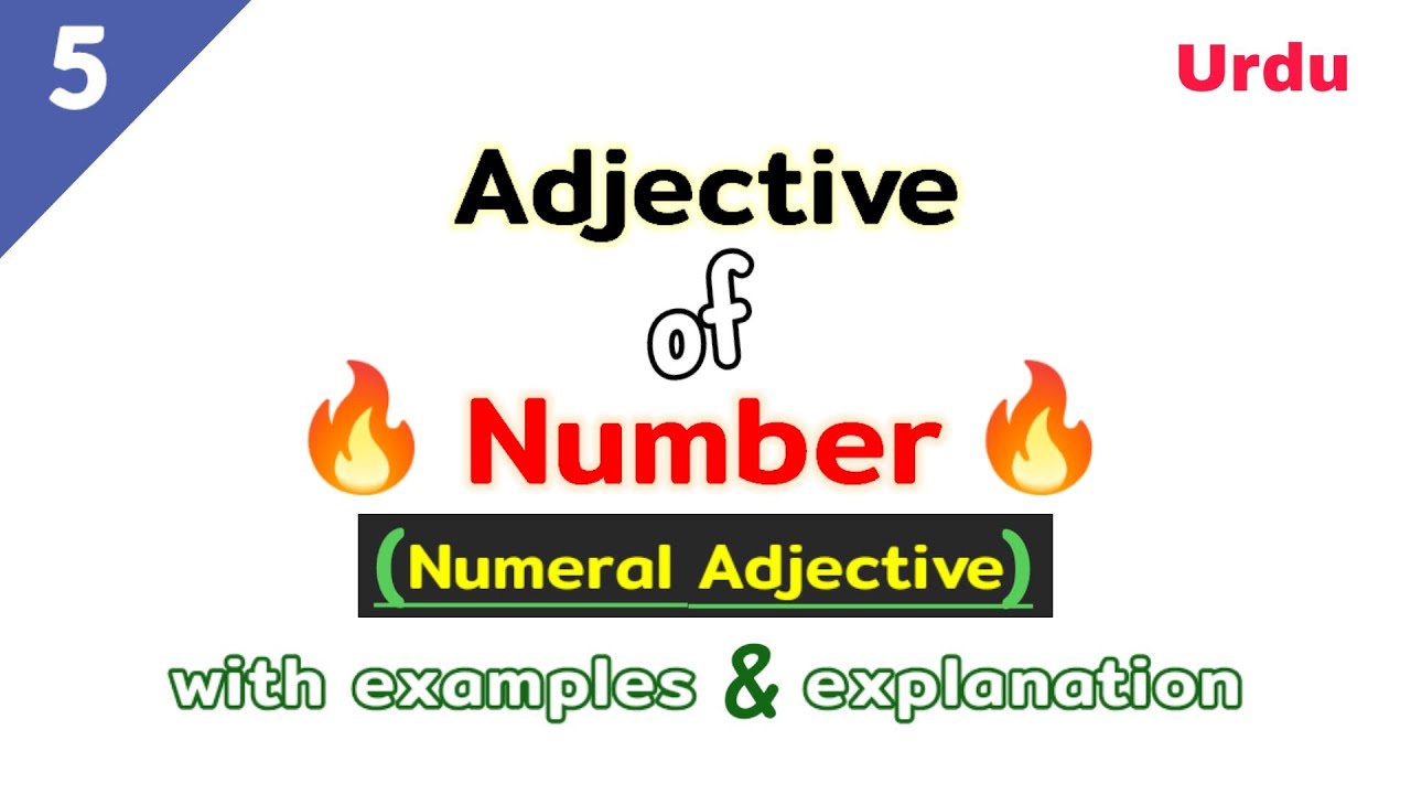 Adjective of number | numeral adjective | what is an adjective of number | adjectives of number