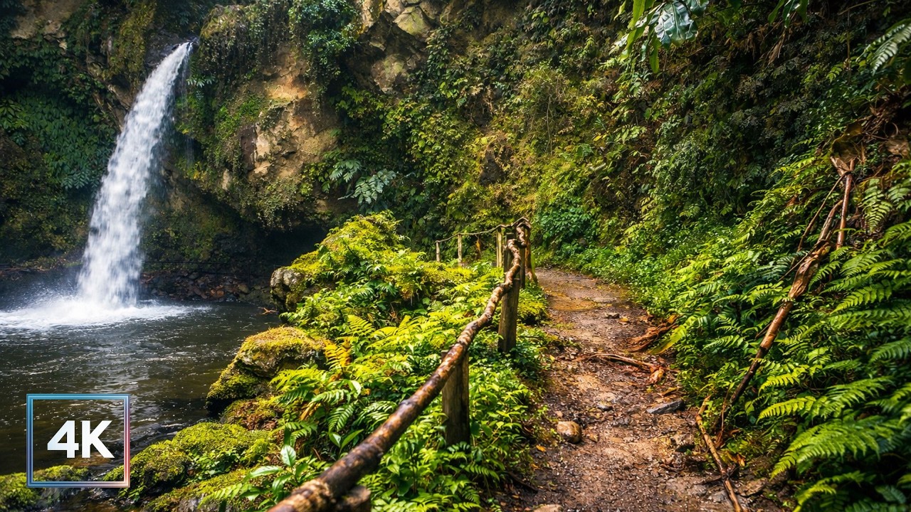 4K Mindful Walk: Hidden Waterfall in AZORES Portugal 4K ASMR