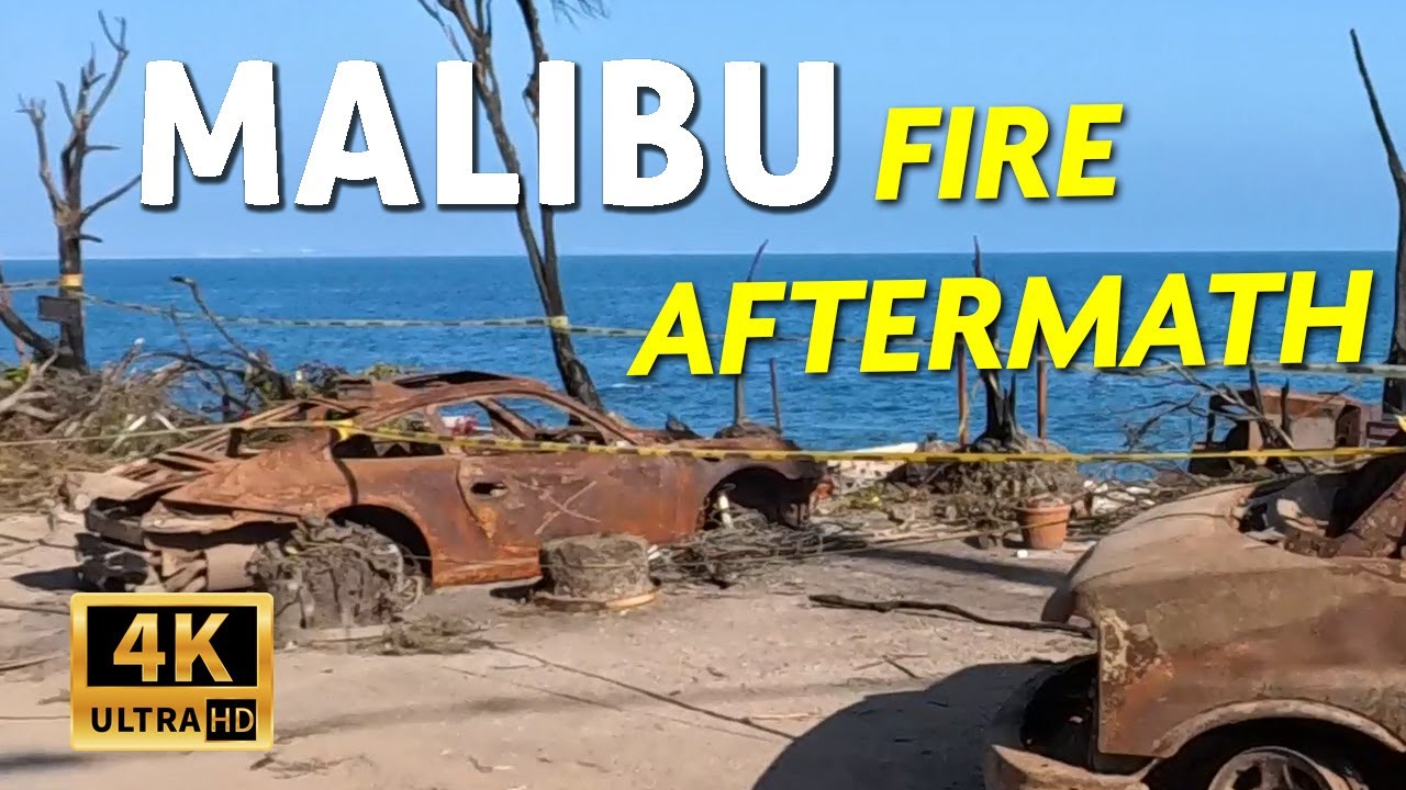 Malibu Fire (Pacific Palisades Fire 2025) Aftermath - Summer 2025