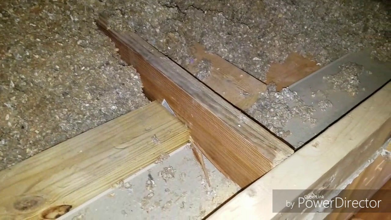 Installing attic stairs by myself and cutting engineered trusses. 😨😨😨