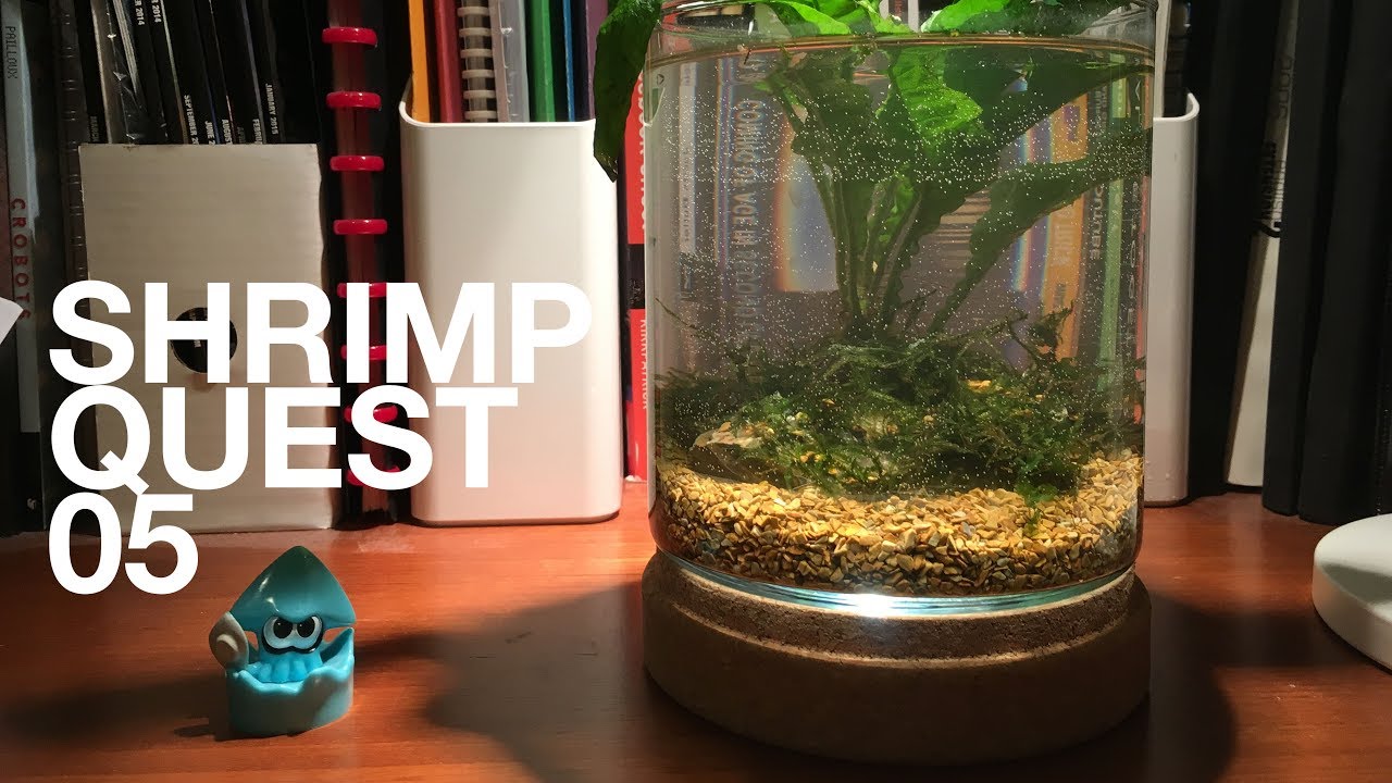 Shrimp Quest 05: Sea Monkey Prison Colony