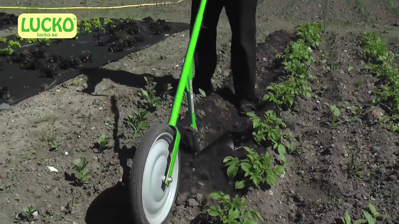 LUCKO - The wheel hoes plow for earthing up.