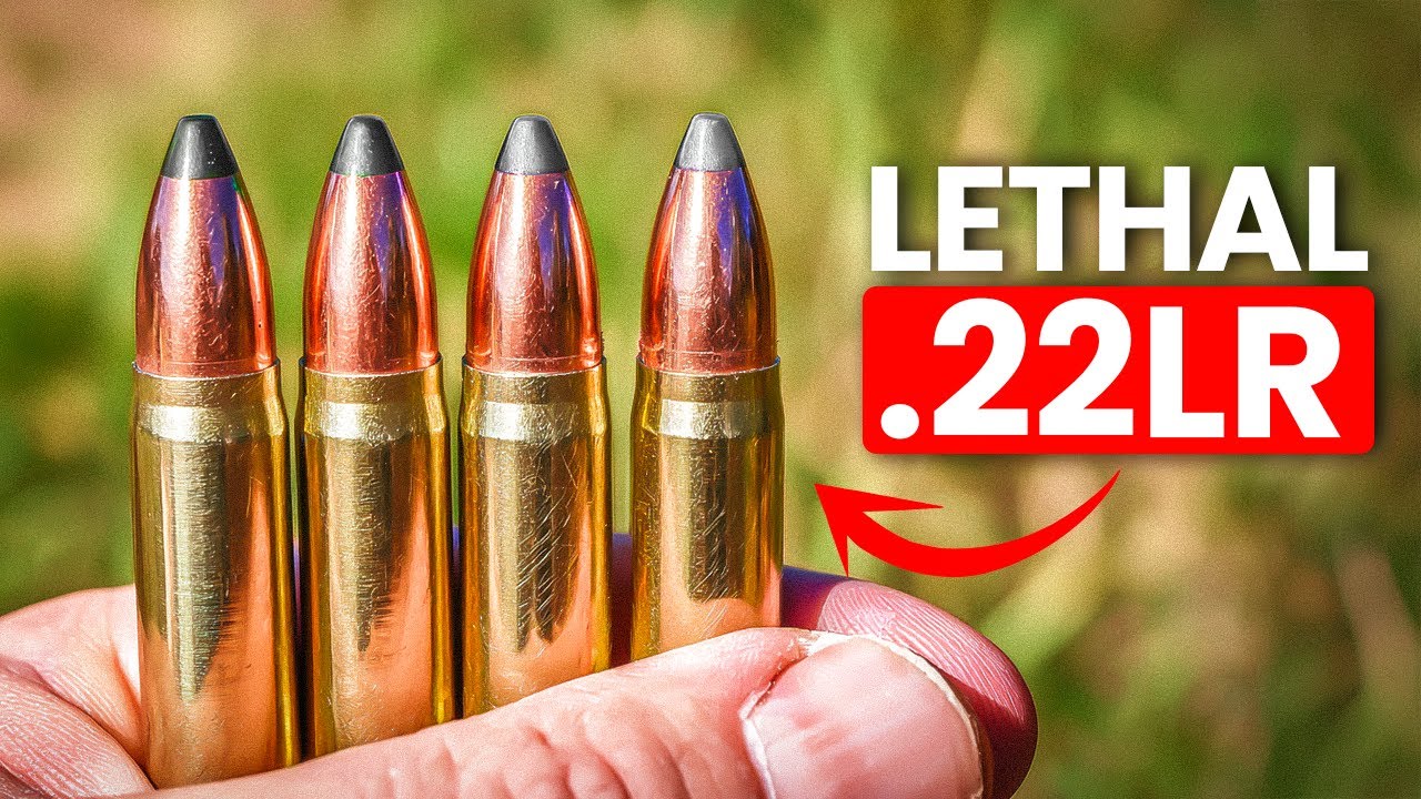 Самые опасные патроны калибра .22 LR, которые можно купить в 2025 году