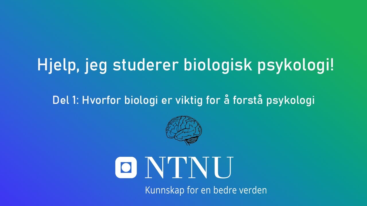 Hjelp, jeg studerer biologisk psykologi &ndash; Hvorfor biologi er viktig for &aring; forst&aring; psykologi