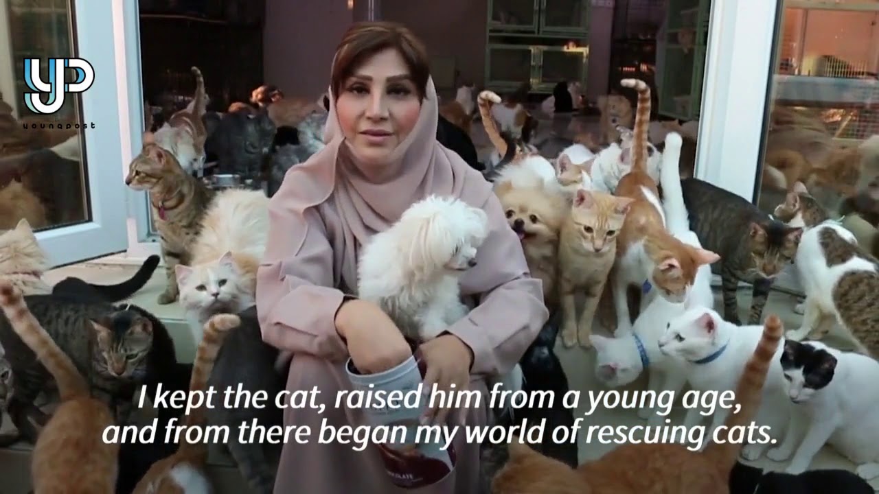 500 cats: A one-woman rescue operation in Oman