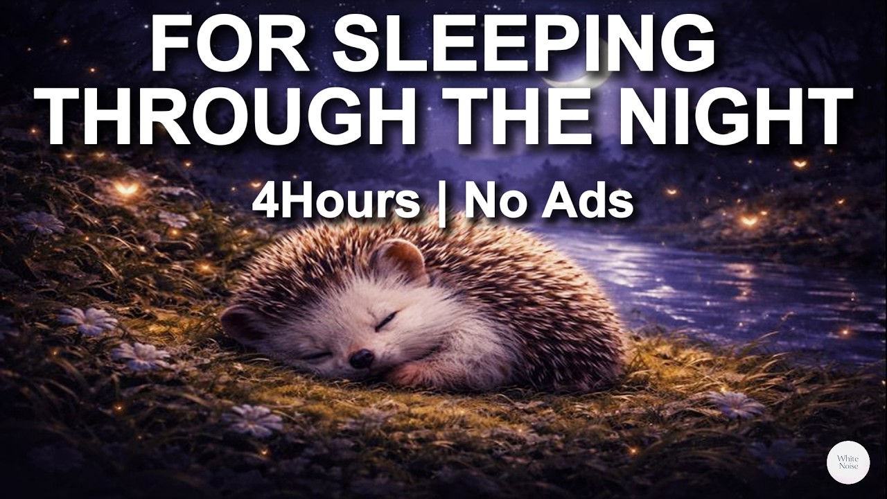 [White Noise] for Sleeping Through the Night 4 Hours | No Ads