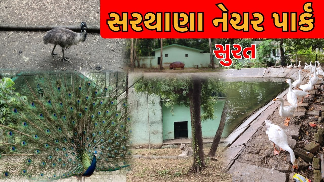 Sarthana Nature Park & Zoo | Surat