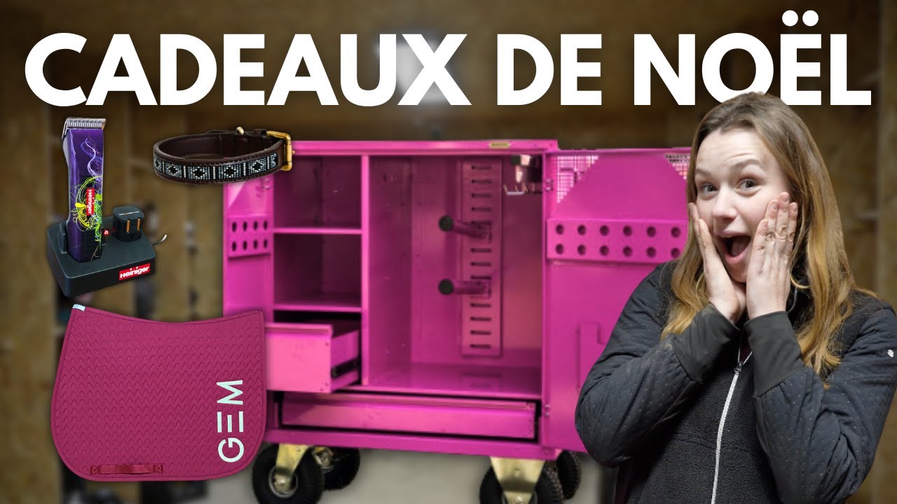 Haul de mes cadeaux de Nöel ! 🐴😍🎁 #VLOGMAS