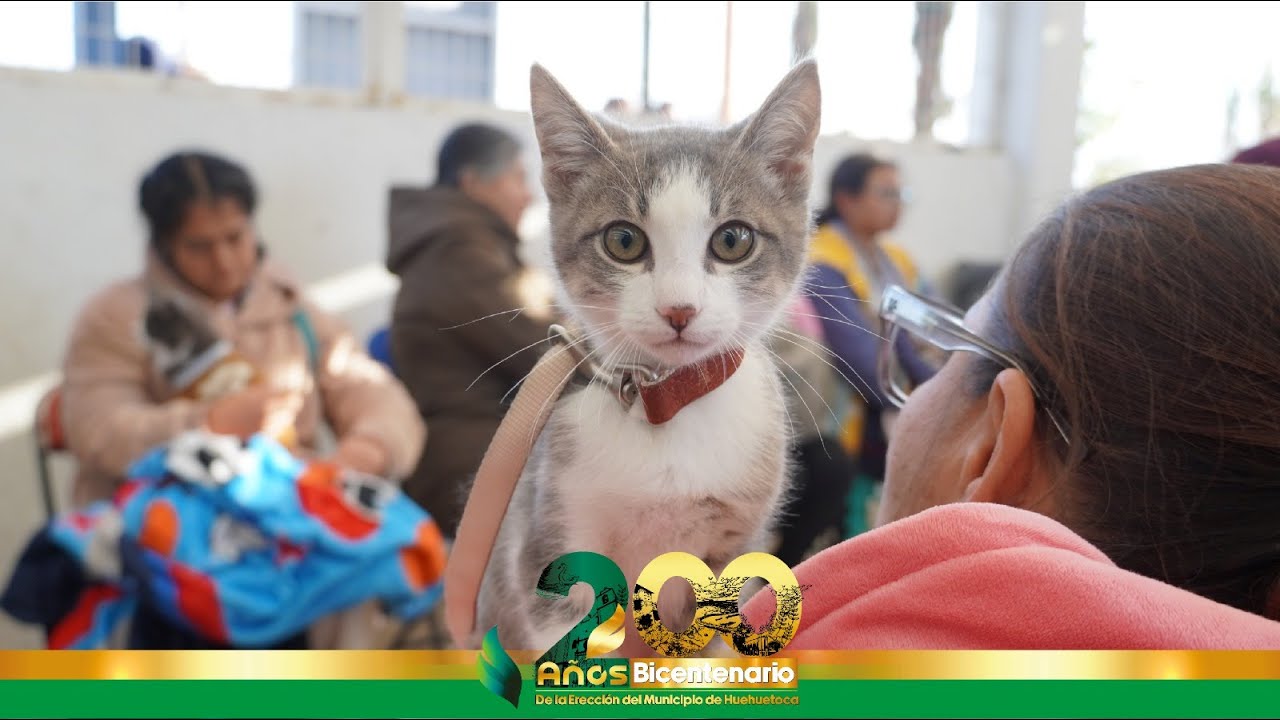 Primera jornada de vacunación y esterilización 2026