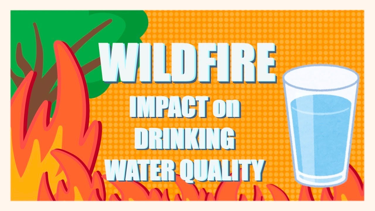 WILDFIRE Impact On Drinking Water Quality 🔥💧