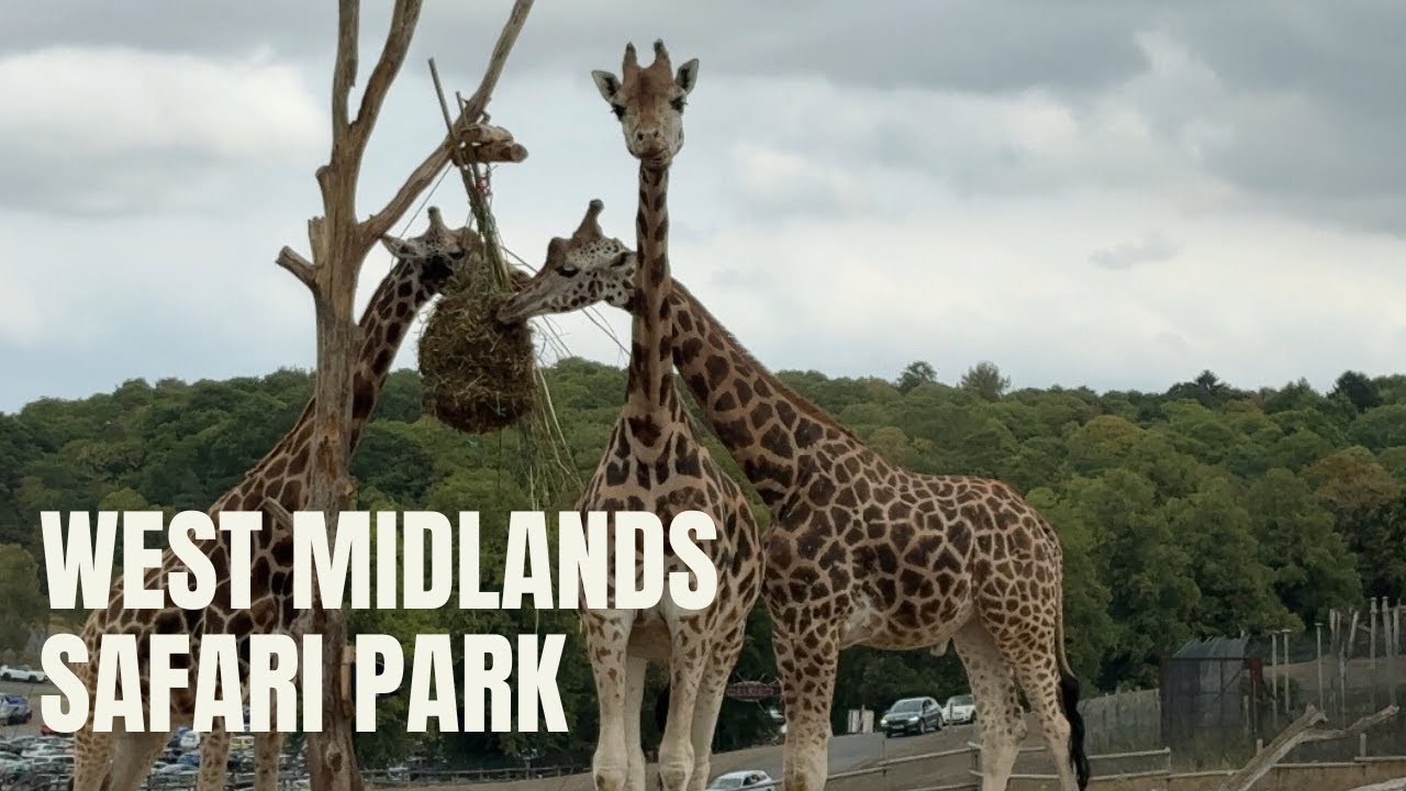 Exploring West Midlands Safari Park | Leo Tanishq