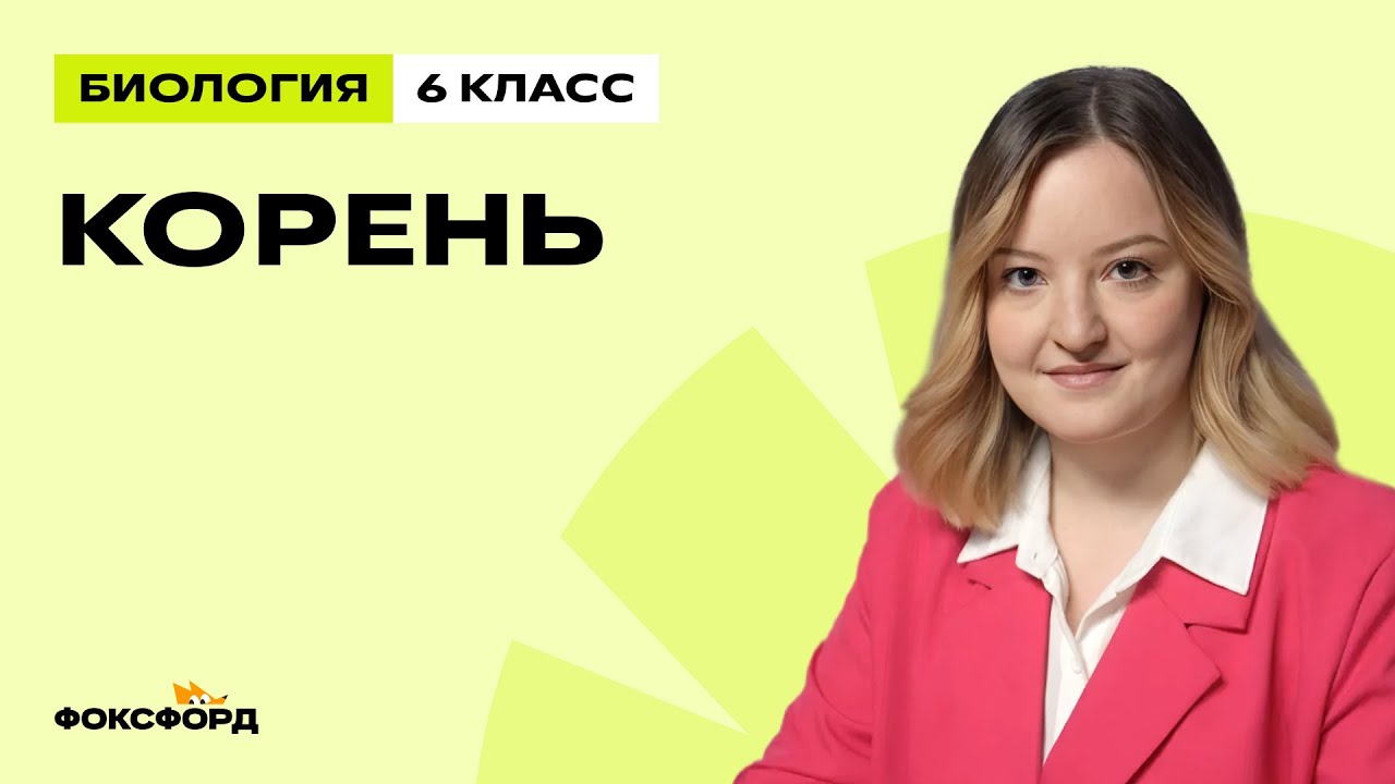 Корень | Биология 6 класс | Домашняя школа Фоксфорда