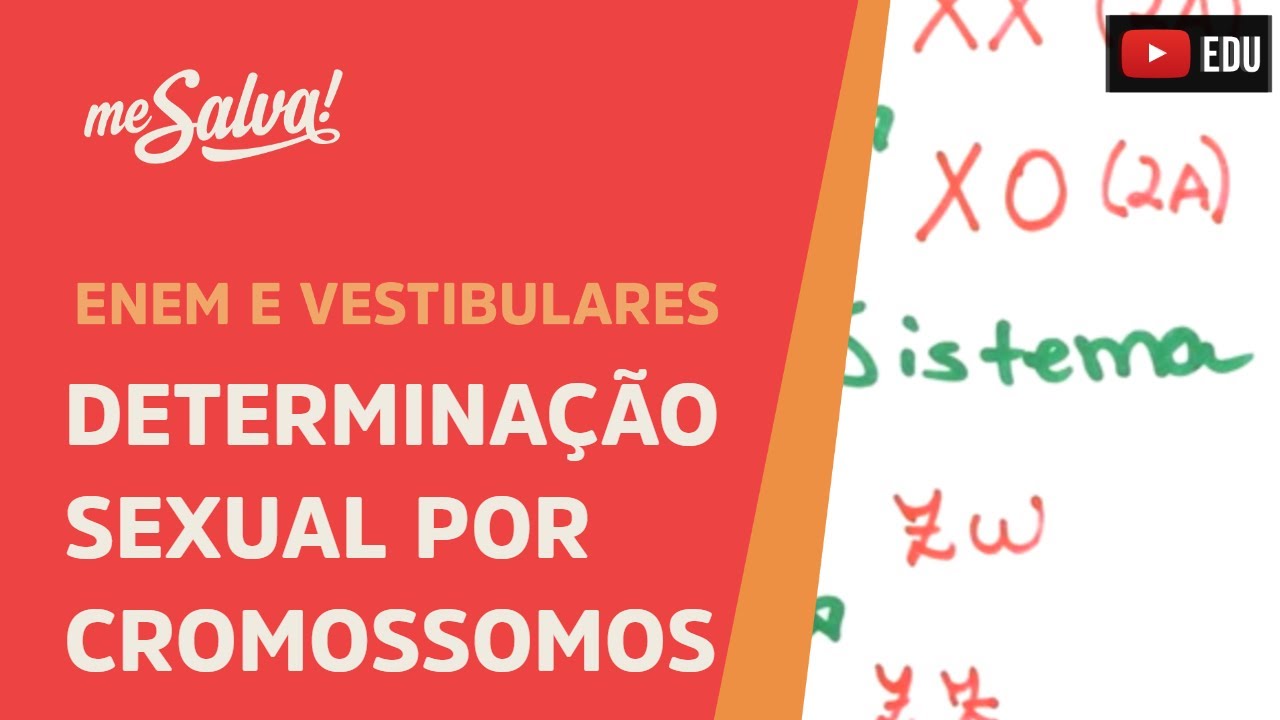 Me Salva! GEN18 - Genética - Determinação sexual por cromossomos - Sistema XY, X0 e ZW