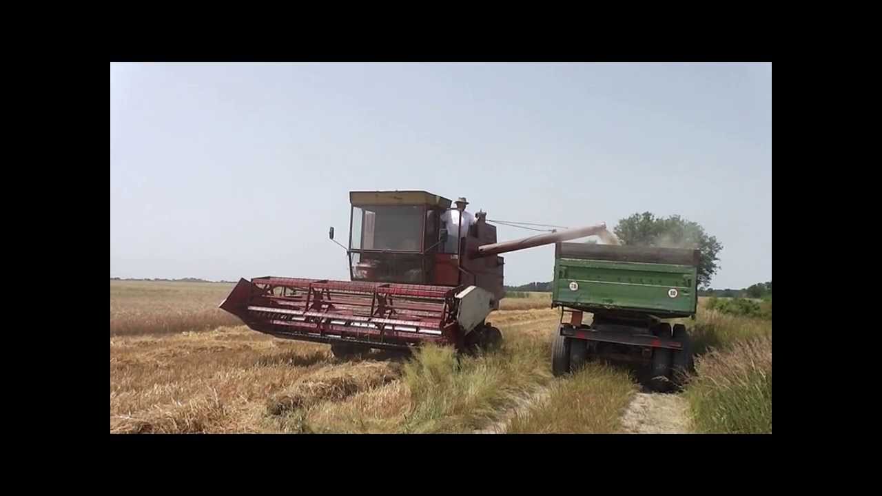 Žetva OPG Miroslav Kokić   *Mafia Farmer*