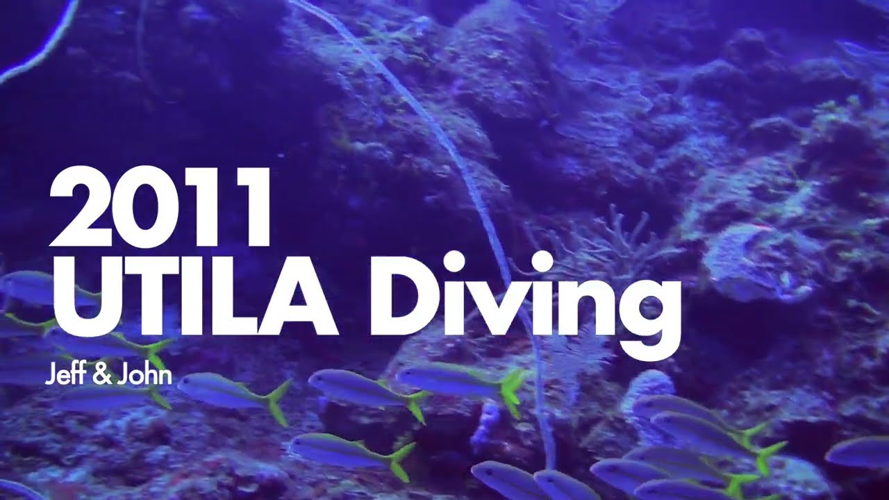 2011 Utila Diving