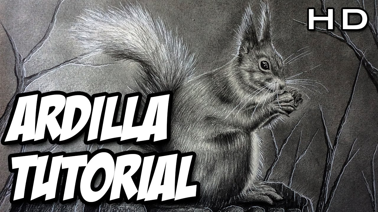 Cómo dibujar una Ardilla Realista a Lápiz paso a paso - TUTORIAL