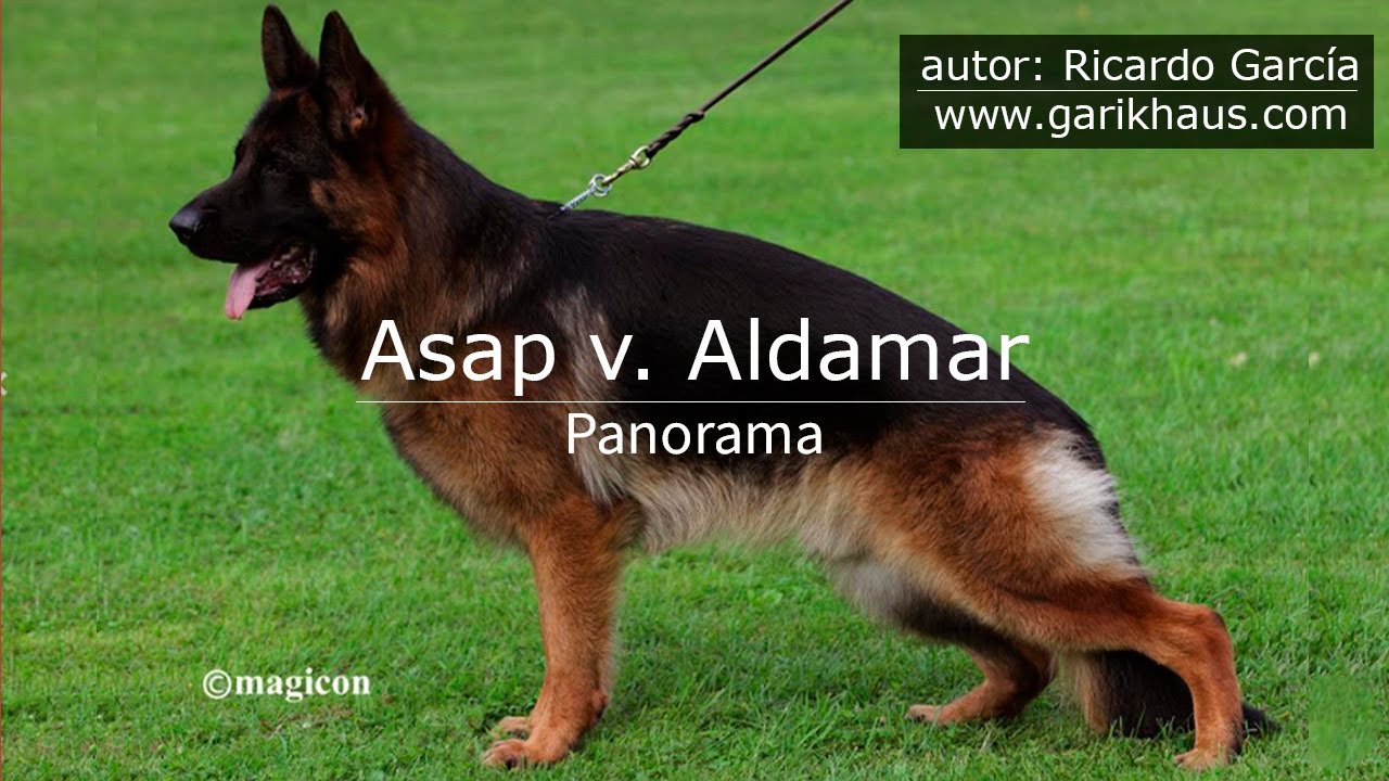 panoramaAsapAldamar2019