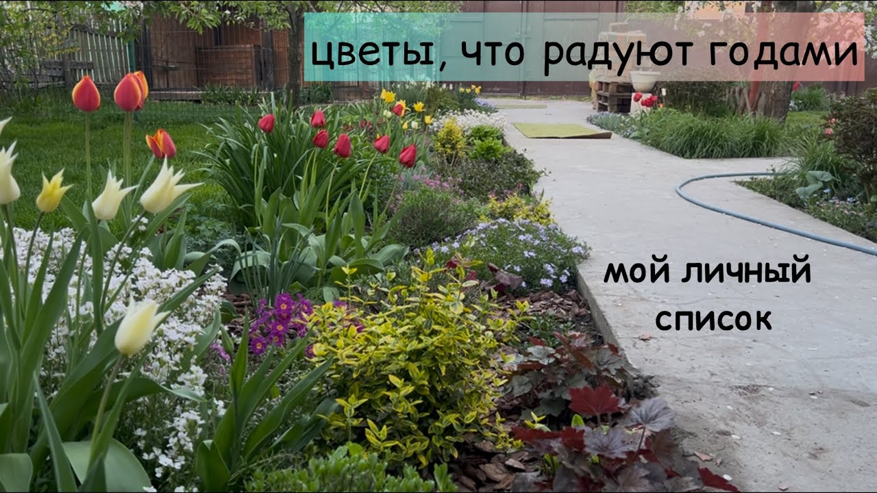 10 красивых и неприхотливых цветов для сада: мой личный список /Многолетники для души и красоты сада