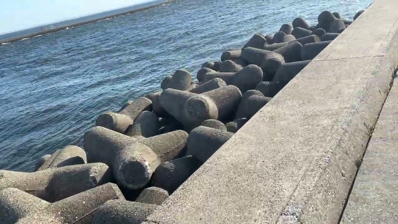 釣り場探索　幕張海浜公園前　浜田川