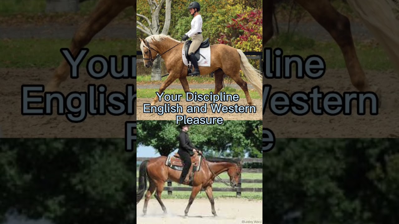 Your zodiac sign your equestrian life Cancer. #horses #shorts