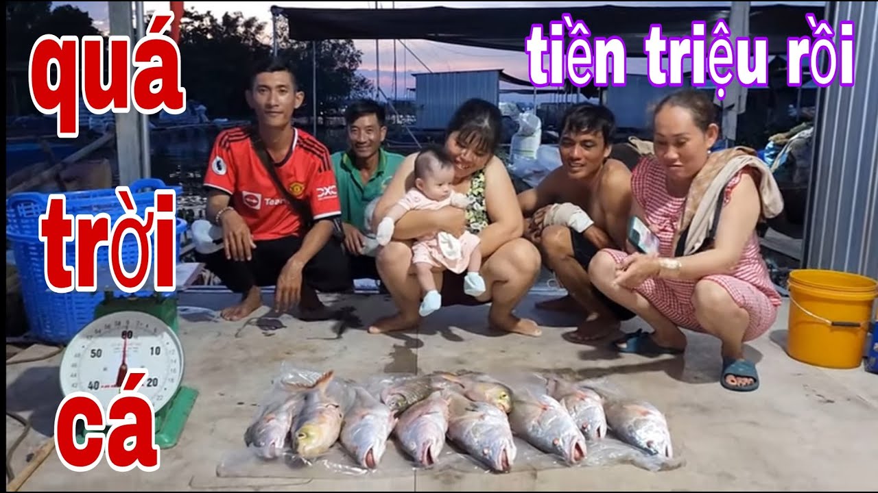 Giăng Lưới Trúng Mẻ Lưới Cá Sủ Tiền Triệu Cả Làng Bè Ai Cũng Xúm Lại Xem # SĂN BẮT ĐỒNG THÁP #