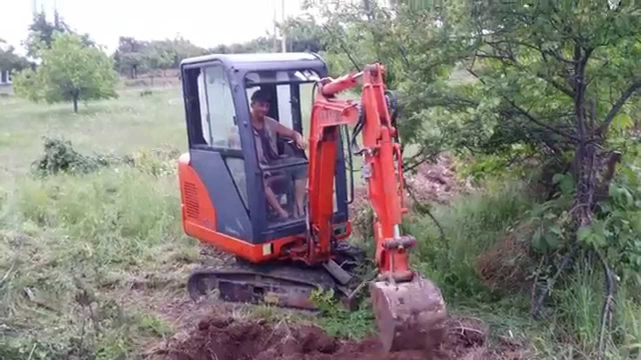 Коки копае вилата