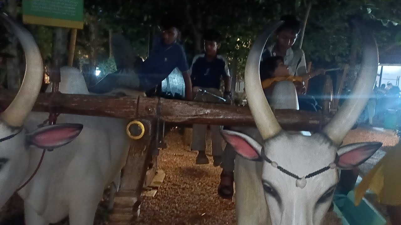 ഓർമ്മകൾക്ക് ഇന്നും ജീവനുണ്ട് 🌿ബാല്യകാലം ഓർമ്മിപ്പിച്ചൊരു നിമിഷം#short#nostalgiya