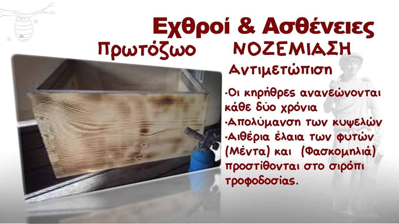 Αποσπάσμα από το DVD η μελισσοκομία βήμα βήμα. (Εχθροί και Ασθένιες)