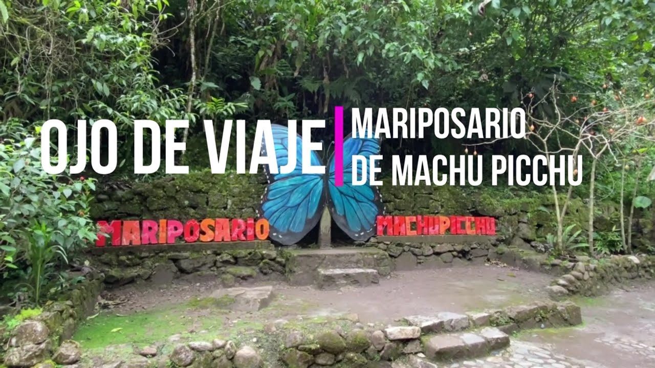 Mariposario de Machu Picchu: belleza inesperada 4K