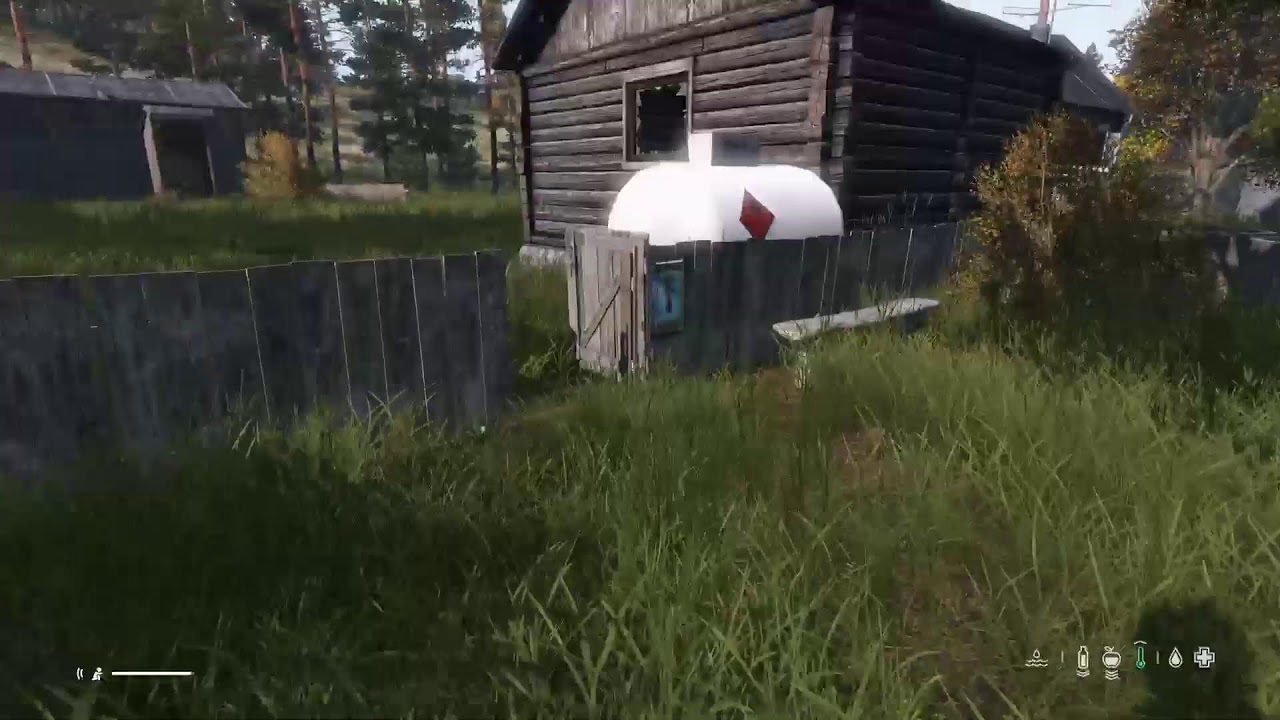 Dayz