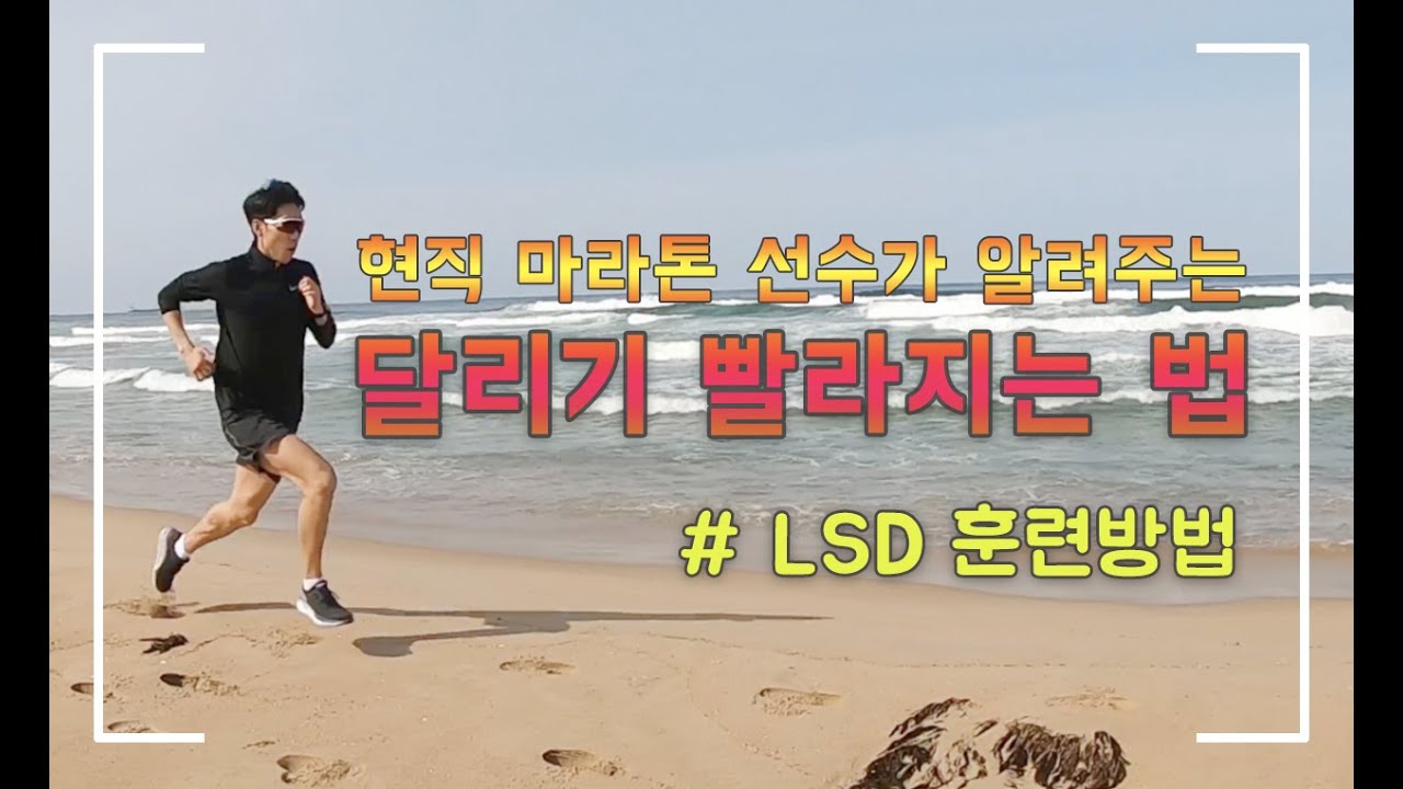 천천히 달리면 빨라진다  #2 LSD장거리 훈련방법