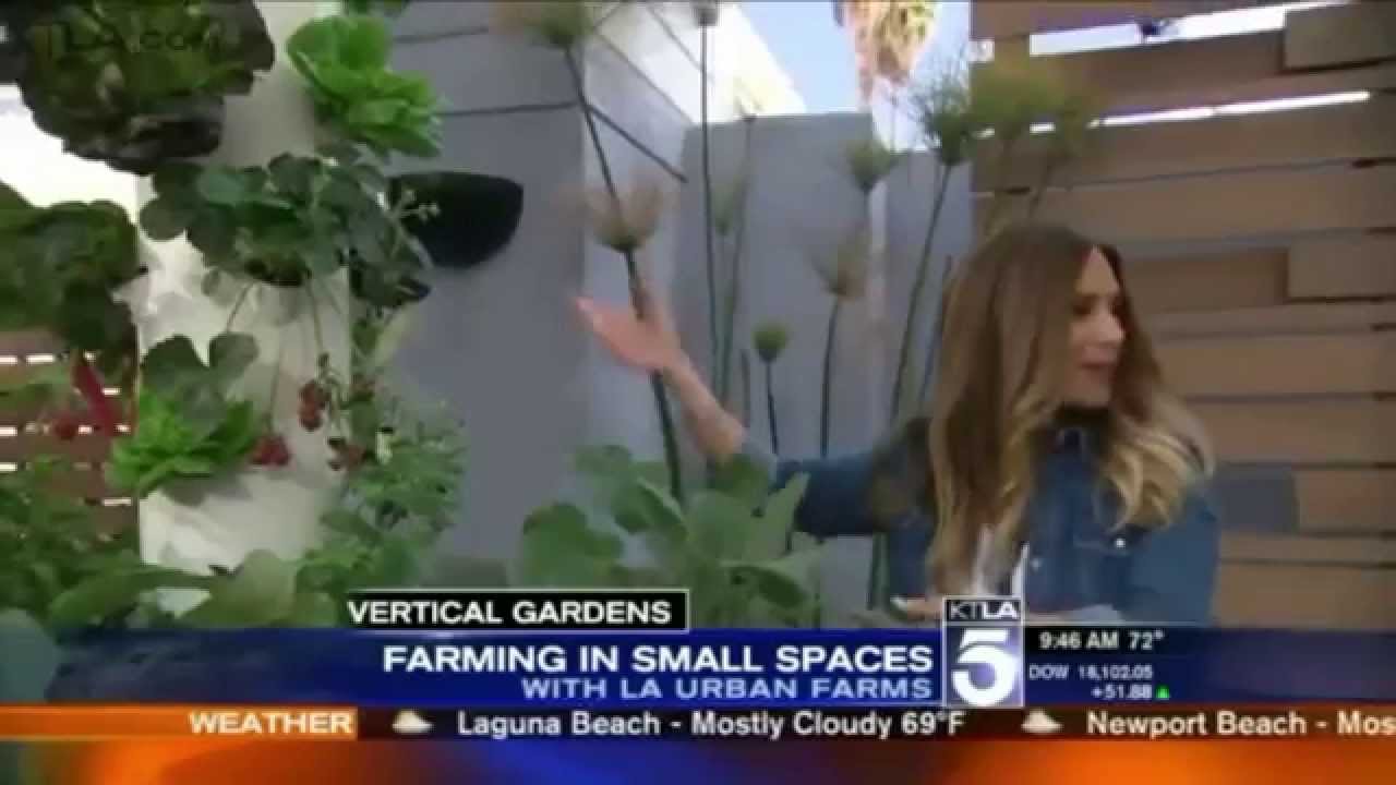 Farming In Small Spaces With LA Urban Farms