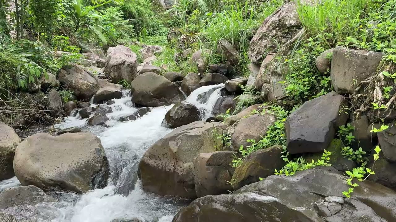 Gentle Stream Sounds | Relaxing Stream Sounds use for Relaxation, Deep Sleep, insomnia.