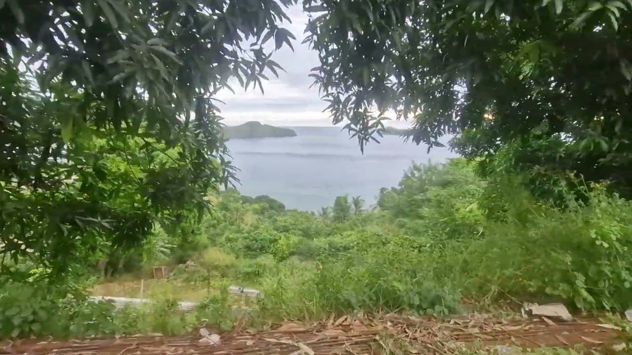 Mayotte : Mtshara se développe, les habitants construisent un quartier à admirer