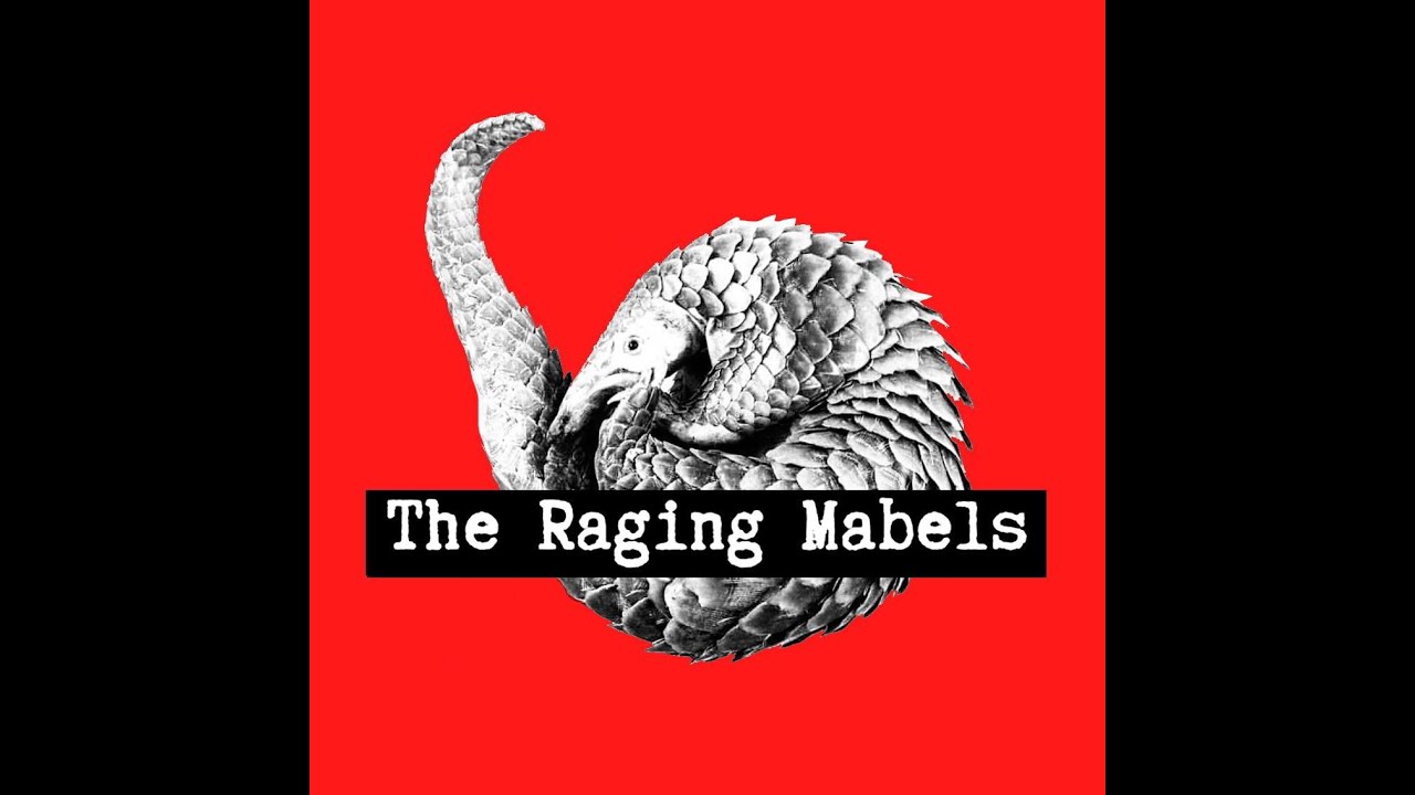 The Raging Mabels Interview with Beany of North East Wales Metal Productions - Pentrefest 2025