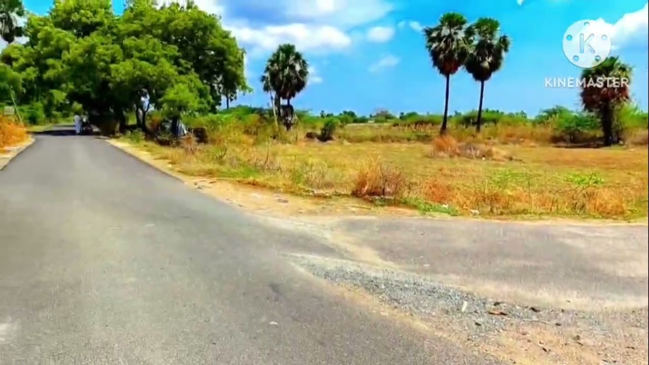 திருநெல்வேலி கருங்குளம்அருகில் வல்லகுளம் கிராமத்தில் 6.50 ஏக்கர்நிலம் விற்பனைக்கு 1 ஏக்கர் 13 லட்சம்