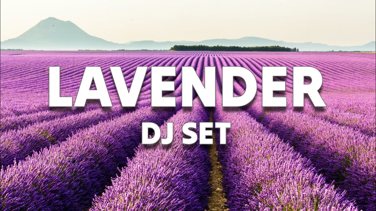 Lavender DJ Set 1
