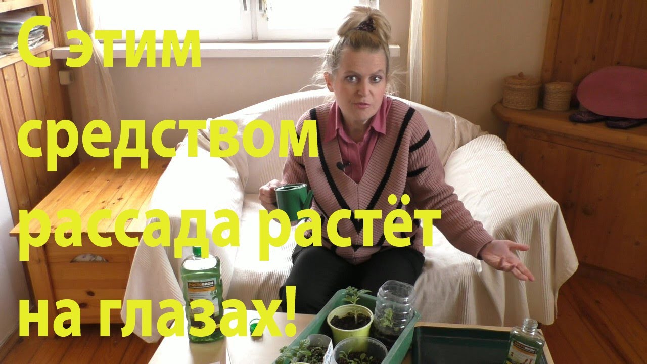 Рассада быстрее в 1.5 раза!